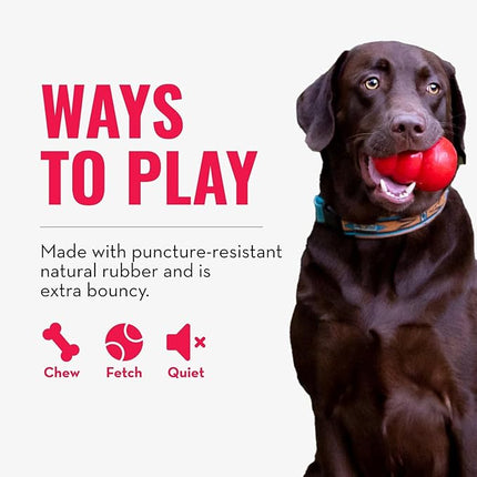 KONG Puppy Ball w/Hole - Soft & Durable Activity Ball for Puppies - Dog Toy Supports Healthy Exercise & Interactive Play - for Natural Teething - for Medium/Large Puppies - Randomly Provided Color