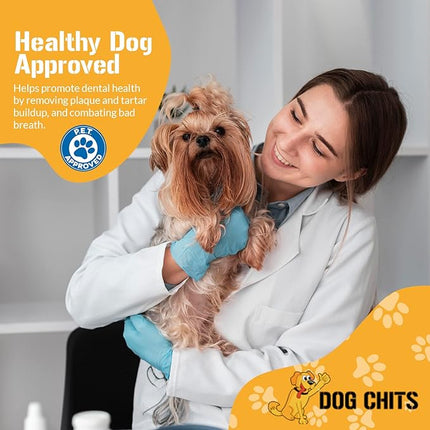 Dog Chits Beef Lung Fillets Dog and Puppy Treats - All Natural Grain and Chemical Free Training Chews - High Protein and Low Fat - Supports Dental Health - Made in The USA - Large 5 oz Bag