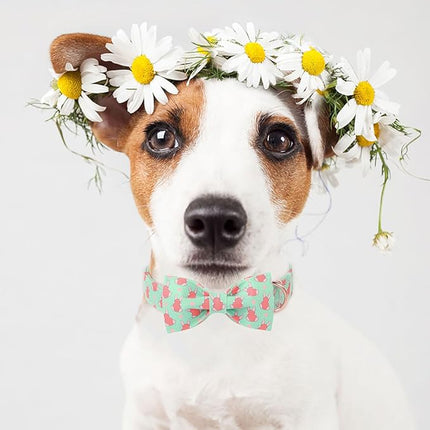 Easter Dog Collar With Bow Tie - Bunny Egg Pattern Bowtie Adjustable Heavy Duty Spring Collar for Small Medium Large Dogs XS