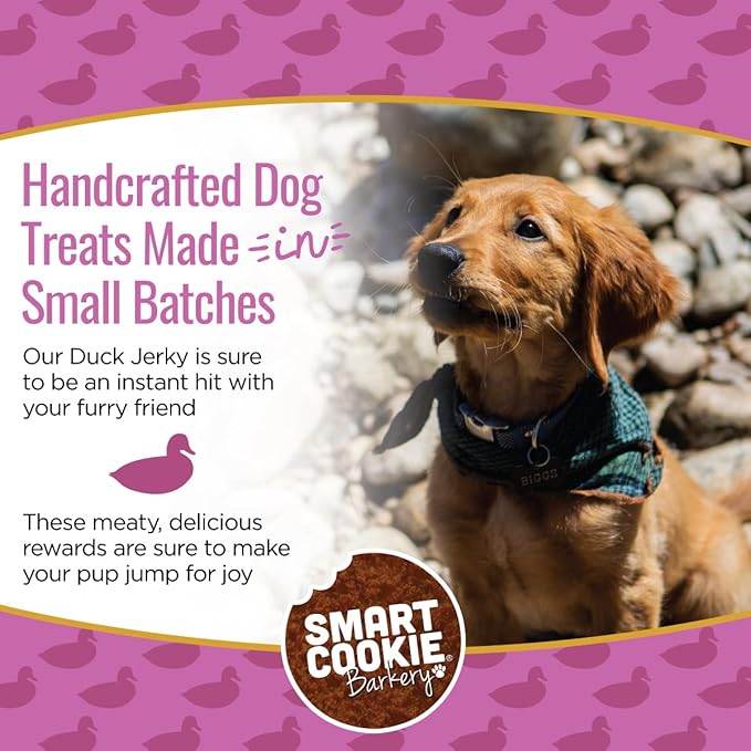 Smart Cookie Duck Jerky Dog Treats with Flax Seed, Omega Oils- Hypoallergenic Strips for Dogs and Puppies with Allergies, Sensitive Stomachs - Dehydrated, Grain Free, Made in USA - 3oz Bag, Pack of 1