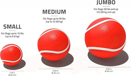 Playology Dog Toys | Squeaky Chew Ball - Bouncy Durable Floating Fetch Ball for Dogs | Jumbo Beef Scented Toy - Easy to Clean and Made from Non Toxic Materials