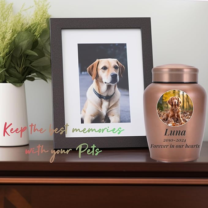Dog Urn Personalized,Custom Pet Urns for Cats,Cat urn,Urns for Dog and Cat Ashes,Pet Memorial Gifts Round