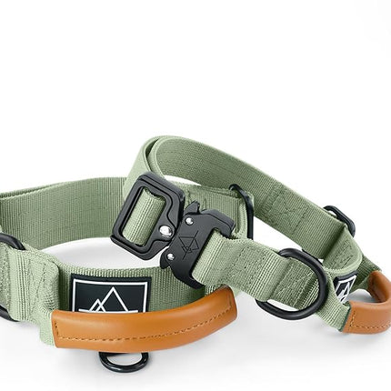 Made to ROAM Premium Explorer Control Collar - Adjustable Heavy Duty Nylon Dog Collar with Quick-Release Metal Buckle and Handle (Washington Rain, Control Size 4)