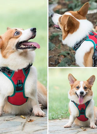 PHOEPET 2019 Upgraded No Pull Dog Harness,3M Reflective Adjustable Vest, with a Training Handle + 2 Metal Leash Hooks+ 3 Snap Buckles +4 Slide Buckles(XS, Red)
