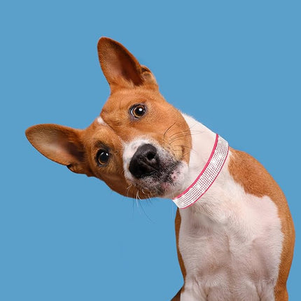 Dog Collar for Small Dogs, Adjustable Leather Suede Bling Dog Collars，Rose Red Dog Collar Cat Collar, Rhinestone Dog Collar (XS, Rose red)