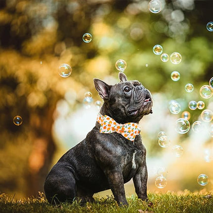 Elegant little tail Dog Collar, Peach Pattern Pet Collars with Bow Girl Cotton Bowtie Collars Spring Puppy Gift Adjustable Pet Collar for Small Dogs