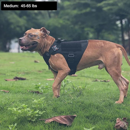 ICEFANG Tactical Dog Harness, Medium Size,2X Metal Buckle,Working Dog MOLLE Vest with Handle,No Pulling Front Leash Clip,Hook and Loop Panel (Black,M (Pack of 1))