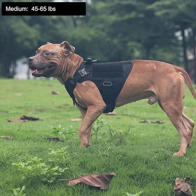 ICEFANG Tactical Dog Harness, Medium Size,2X Metal Buckle,Working Dog MOLLE Vest with Handle,No Pulling Front Leash Clip,Hook and Loop Panel (Black,M (Pack of 1))