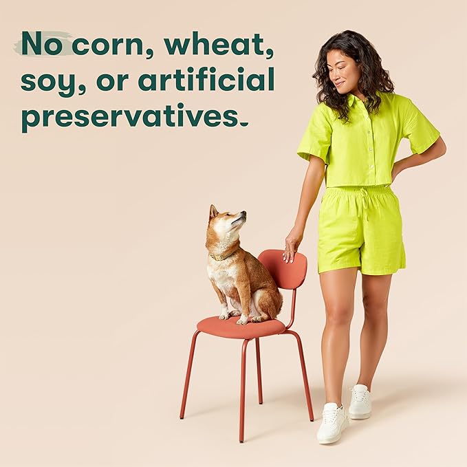 Jinx Beef Wet Dog Food Pouches, Meal or Dog Food Topper Mix-in, Made with Real Beef & Chicken, Bone Broth & Brown Rice, No Fillers, Puppy, Adult, Senior, 3oz, 8 Pack