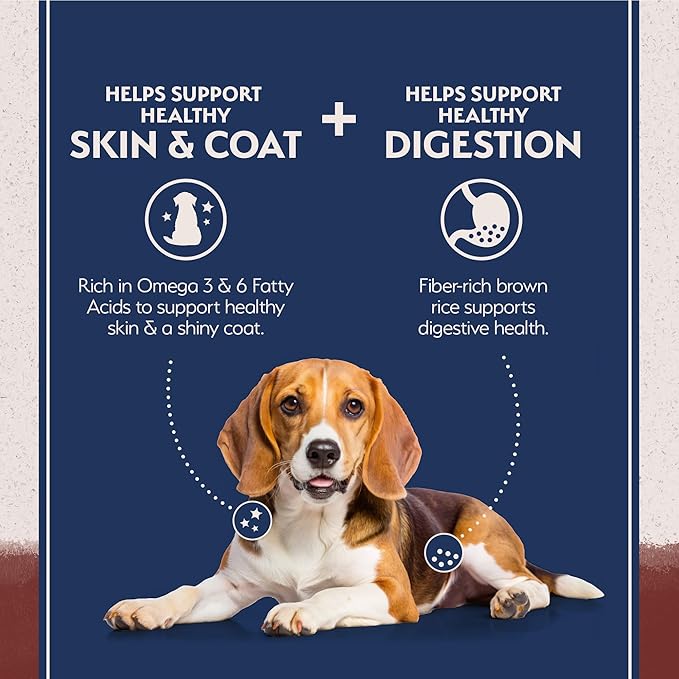 Natural Balance Limited Ingredient Adult Dry Dog Food with Healthy Grains, Beef & Brown Rice Recipe, 12 Pound (Pack of 1)