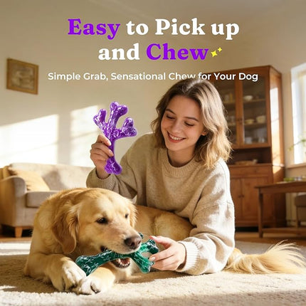 Aggressive Chewers Dog Chew Toys - 2 Pack Tough Dog Toys for Aggressive Chewers Large Breed, Indestructible Dogs Toy for Gift, Interactive to Keep Them Busy