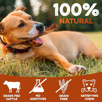 BRUTUS & BARNABY Bully Sticks for Dogs, Jumbo – Low-to-No Odor, Grass-Fed, Rawhide-Free Chews for Aggressive Power Chewers