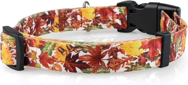 Limeloot Fall Dog Collar, Adjustable Thanksgiving Dog Collar in Small, Medium, and Large, Holiday Collar for Female and Male Dogs, Fall Leaves, Small