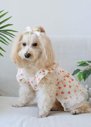 QWINEE Cute Flower Pattern Dog Dress Ruffle Trim Princess Dress Cat Vest Dress Lace Trim Summer Dress Pet Clothes for Small Medium Cats Dogs Kitten Puppy Pink S