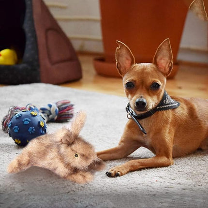 ALL FOR PAWS Brown Rabbit Pet Plush Toys, Dog Squeaker Toy, Large