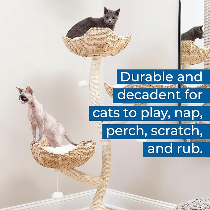 Habitat Haven The Sanctuary Cat Tree - Luxury Cat Condo, Large Modern Indoor Tower with 3 Faux Fur Beds, Scratching Posts, and Toys for Cats, 23-Inch Width x 23-Inch Depth x 52-Inch Height