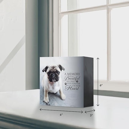 Lifesong Milestones Wooden Shadow Box Cremation Urn for Pet Ashes| Urns for Ashes of Deceased Pet Dog Cat| Sympathy Keepsake 6x6