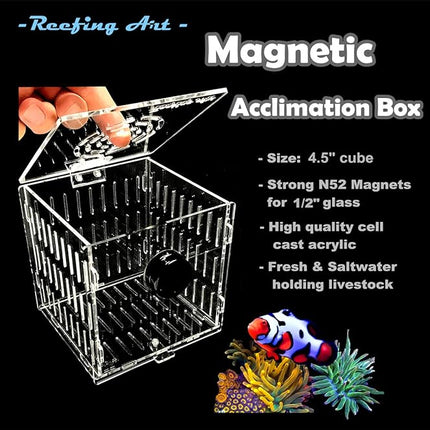 Small Magnetic Acclimation Breeder Box Anemone Coral Strong N52 Magnets for 1/2" Glass (4.5" Cube)