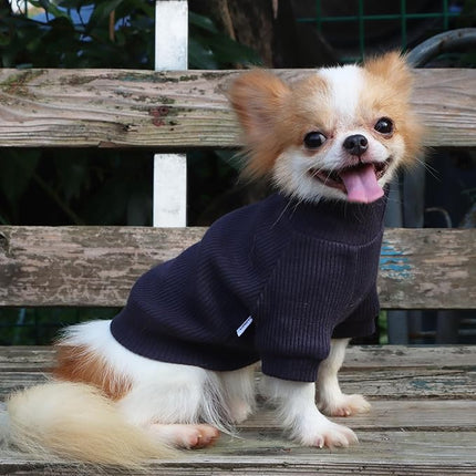 LOPHIPETS Small Dog Turtleneck Sweaters for Teacup Chihuahua Yorkie Puppy Cat Clothes-Dark Gray/XS
