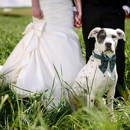 Lionet Paws Bowtie Dog Collar - Comfortable Silk Dog Collar with Detachable Bow Tie for Large Dogs, Neck 16-24 Inches