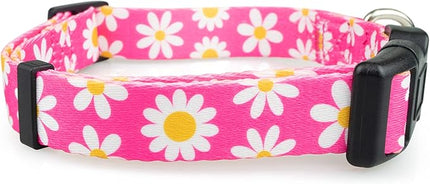Limeloot Pink Daisy Dog Collar, Spring Summer Dog Collar for Female Dogs, Small