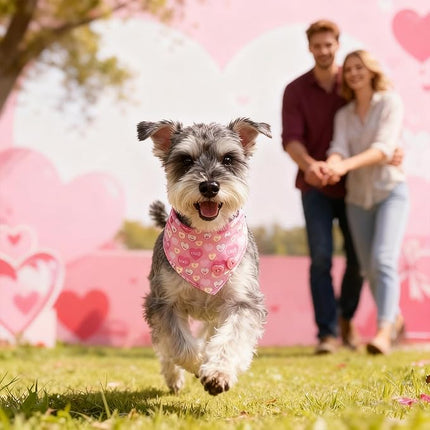 EXPAWLORER Valentine's Day Dog Collar and Leash Set - Pink Heart Dog Bow Tie and Dog Bandana Collar with Bell, Dog Leash Tangle Free, Adjustable Collars for Small Dogs Cats, Holiday Ideal Gift, S
