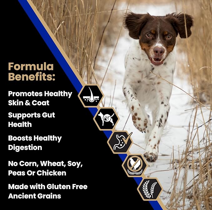 VICTOR Super Premium Dog Food — Sensitive Skin and Stomach — Beef Meal & Brown Rice Recipe Dry Kibble — Gluten Free, No Chicken, Ideal for Dogs with Allergies — Adult and Puppy Food, 30 lb