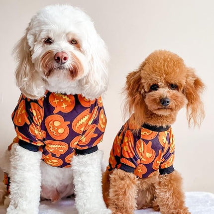 Fitwarm Halloween Pumpkin Dog Pajamas, Funny Dog Winter Clothes for Small Dogs Girl Boy, Pet Jumpsuit, Cat Halloween Costumes with Feet, Lightweight Velvet, Black, Orange, Medium