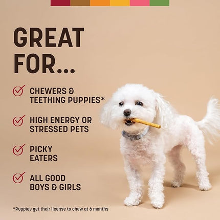 Earth Animal No Hide Stix - Long Lasting Rawhide Free Small Dog Chews Sticks, Beef - 10 Count