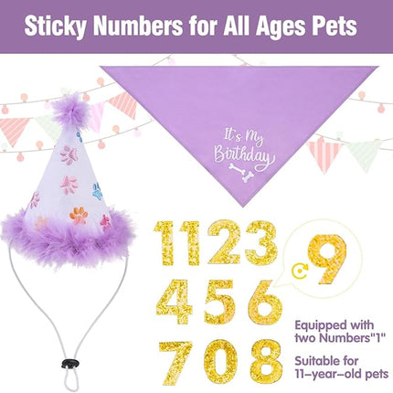 BINGPET Dog Birthday Bandana Scarf and Reusable Hat with 0-8 Figures,Cute Puppy Dog Birthday Outfit Party Supplies Gift for Small Medium Large Dogs Girl(Large)
