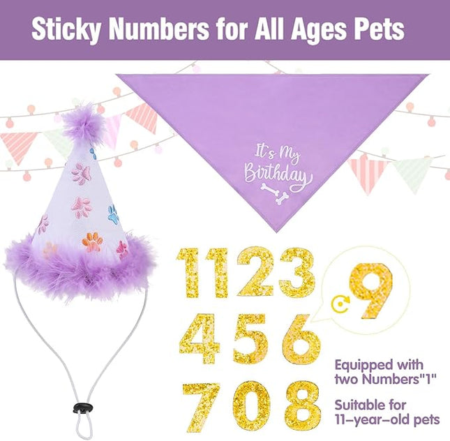 BINGPET Dog Birthday Bandana Scarf and Reusable Hat with 0-8 Figures,Cute Puppy Dog Birthday Outfit Party Supplies Gift for Small Medium Large Dogs Girl(Large)