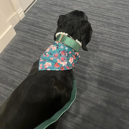 ARING PET Velvet Dog Collar and Leash Set, Soft Dog Collar and Leash, Adjustable Collars for Dogs