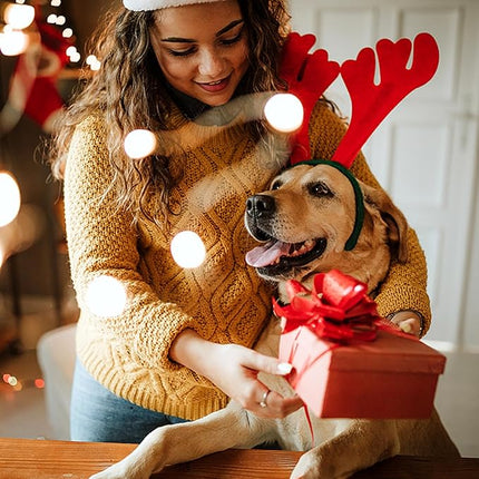 Maca Bates Christmas Grass Green Dog Collar with Cute Solid Sailor Bow Tie for Large Girl Boy Dogs,Adjustbale Durable Breakaway Soft Collars with Bowtie for Female Male Puppy,Pet