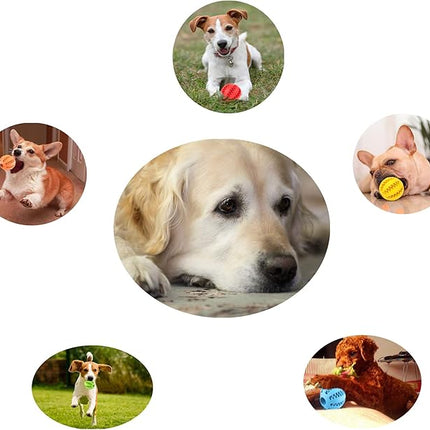 Sunglow 2 Pack Dog Toy, Nontoxic Bite Resistant Teething Balls for Small/Medium/Large Dogs and Puppies, Pet Food Treat Feeder, Chew Tooth Cleaning, Exercise Game IQ Training