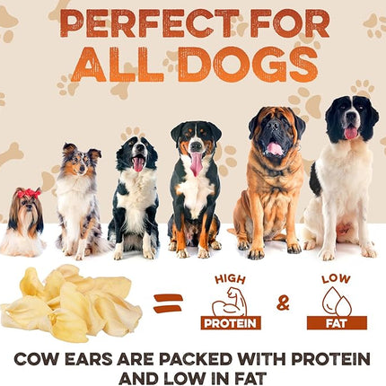 BRUTUS & BARNABY Cow Ears for Dogs – Halves 30 ct, Thick Cut, Grass-Fed Angus Beef, All-Natural No-Rawhide Dog Treat Alternative