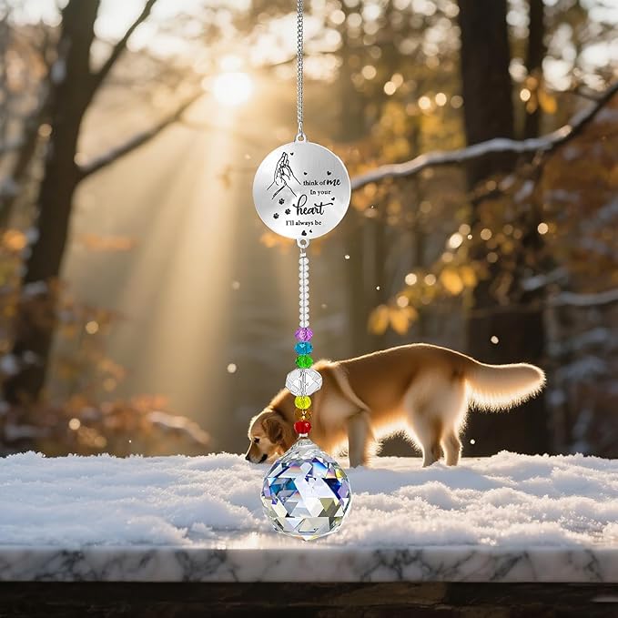 Dog Memorial Gifts for Loss of Dog, Pet Sympathy Crystal Window Memorial Suncatcher,Bereavement Gift Sun Catcher,Remembrance Pet Passing Away Loss Gifts (D)