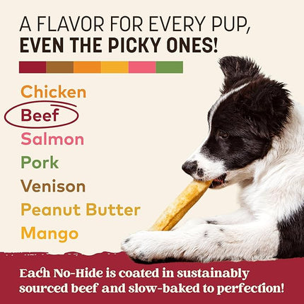 Earth Animal No Hide Chews - Long Lasting Rawhide Free Medium Dog Chews Rolls, Beef - 6 Count