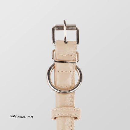 CollarDirect Rolled Leather Dog Collar, Soft Padded Round Puppy Collar, Handmade Genuine Leather Collar Dog Small Large Cat Collars 13 Colors (11-14 Inch, Beige Textured)