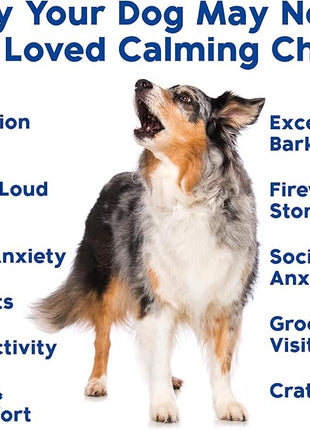 Calming Chews for Dogs - Dog Calm Treats, Made in USA, Vet Recommended, Behavior Support with Melatonin & Hemp, Stress, Separation, Fireworks, Travel, Extra Strength