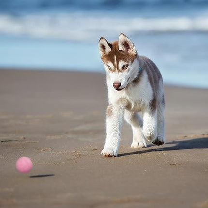 Snug Rubber Dog Balls for Small and Medium Dogs - Tennis Ball Size - Virtually Indestructible (3 Pack - Pink)