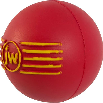 JW Squeak-ee Ball Puppy Toy