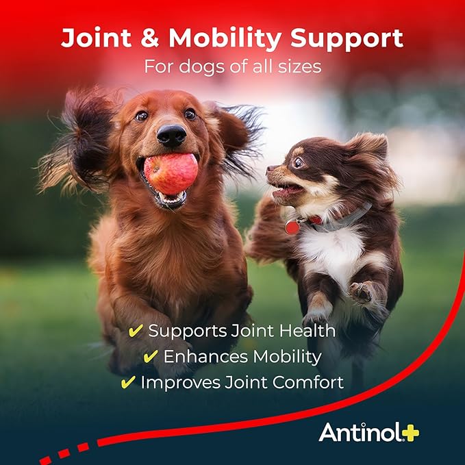 Plus, Mobility, Hip, and Joint Supplement for Dogs, Green-Lipped Mussels and Krill Oil - Dog Joint Supplement, Better and Faster Than Glucosamine and Chondroitin, 60 Soft Gels