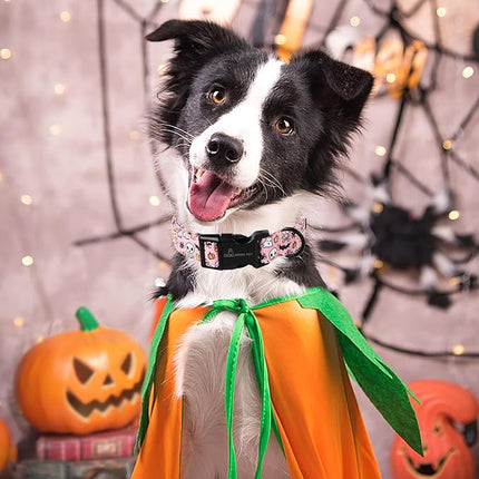 ARING PET Halloween Dog Collars, Cute Pink Pumpkin Ghost Bat Spider Skull Pet Collar with Quick Release Buckle for Small Medium Large Girl Boy Dogs-S