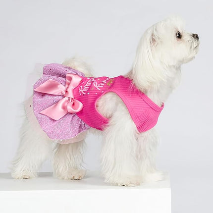 Fitwarm It's My Birthday Dog Dress - Pink Bowknot Dog Clothes for Small Female Puppy, XXS