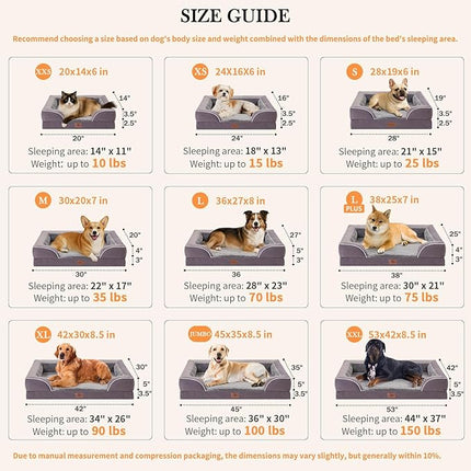 Comfort Expression Orthopedic Dog Bed for Large Dogs 38x25 Inch, Waterproof Supportive Egg Crate Foam Large Pet Bed with Removable Bolsters, Dog Couch with Washable Cover & Non-Slip Bottom, Purple
