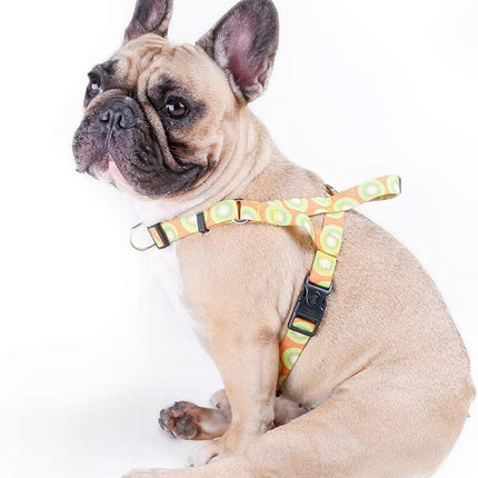 iChoue French Bulldog Harness Adjustable Locked Buckle with Handle for Frenchie Pug English Boston Terrier Dogs, Kiwi Fruit, Large