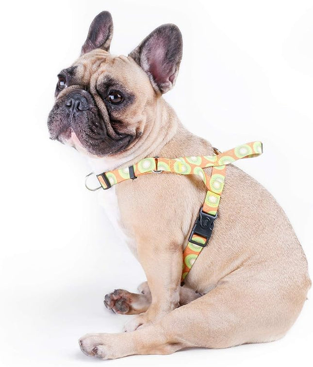 iChoue French Bulldog Harness Adjustable Locked Buckle with Handle for Frenchie Pug English Boston Terrier Dogs, Kiwi Fruit, Large