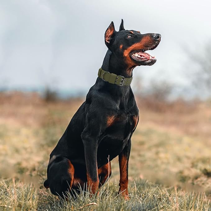 Tactical Dog Collar Military Adjustable Dog Collars Soft Nylon Training Collar with Patch Heavy Duty Metal Buckle Collars for Medium Large Dogs (Green, XL)