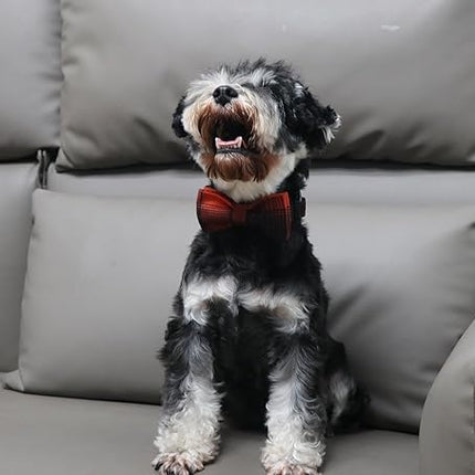 Lionet Paws Dog and Cat Collar with Bowtie Grid Dog Collar Plastic Buckle Light Adjustable Collars for Small Dogs Pets