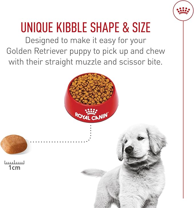Royal Canin Breed Health Nutrition Golden Retriever Puppy Dry Dog Food, 30 lb Bag